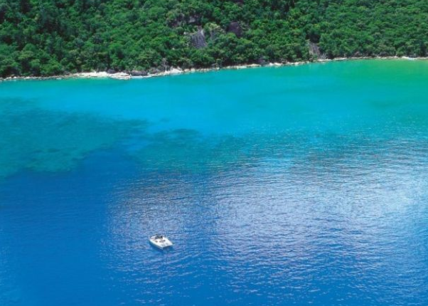 medico-morto-ataque-tubarao