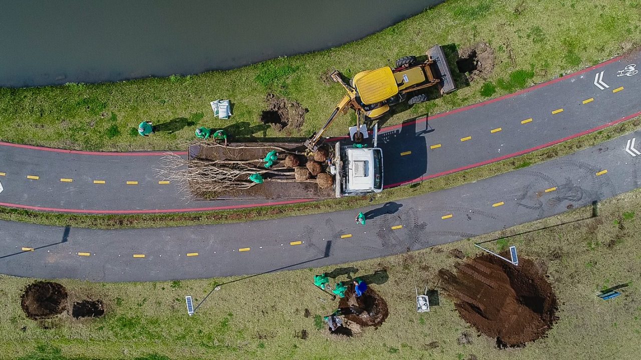 parque das aguas árvores
