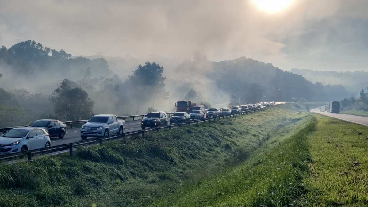 Inmet emite alerta de geada para cidades do Vale do Paraíba; frio deve aumentar nos próximos dias