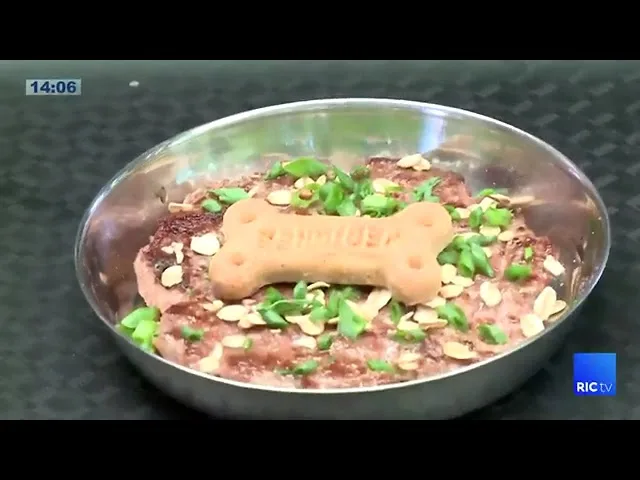 Evento contará com mais de 100 expositores no Parque Barigui