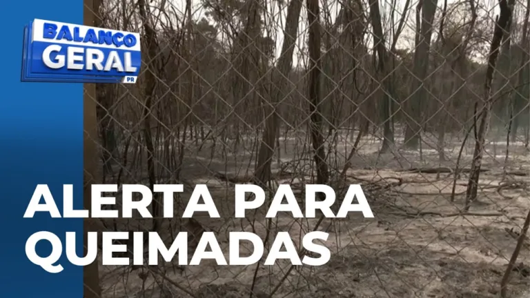 Apesar da chuva, Paraná segue em alerta para queimadas