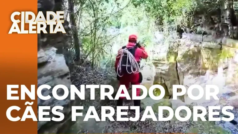 Cães farejadores localizam homem desaparecido: Encontrado debilitado e ferido