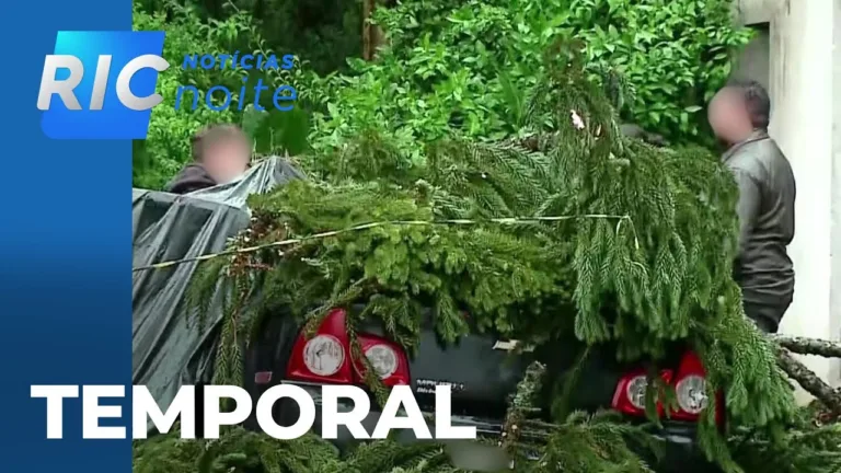 Temporais afetam diferentes regiões do PR; queda de árvore mata empresário em Curitiba