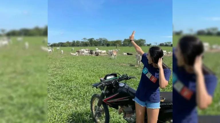 Investimento agro: confira as fazendas da Ana Castela