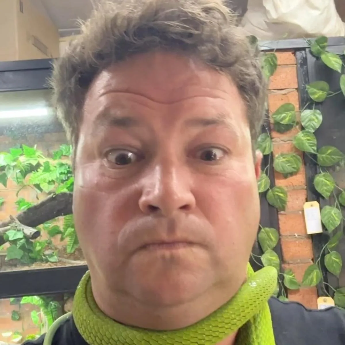 Youtuber morre após ser picado por uma das cobras mais venenosa do mundo