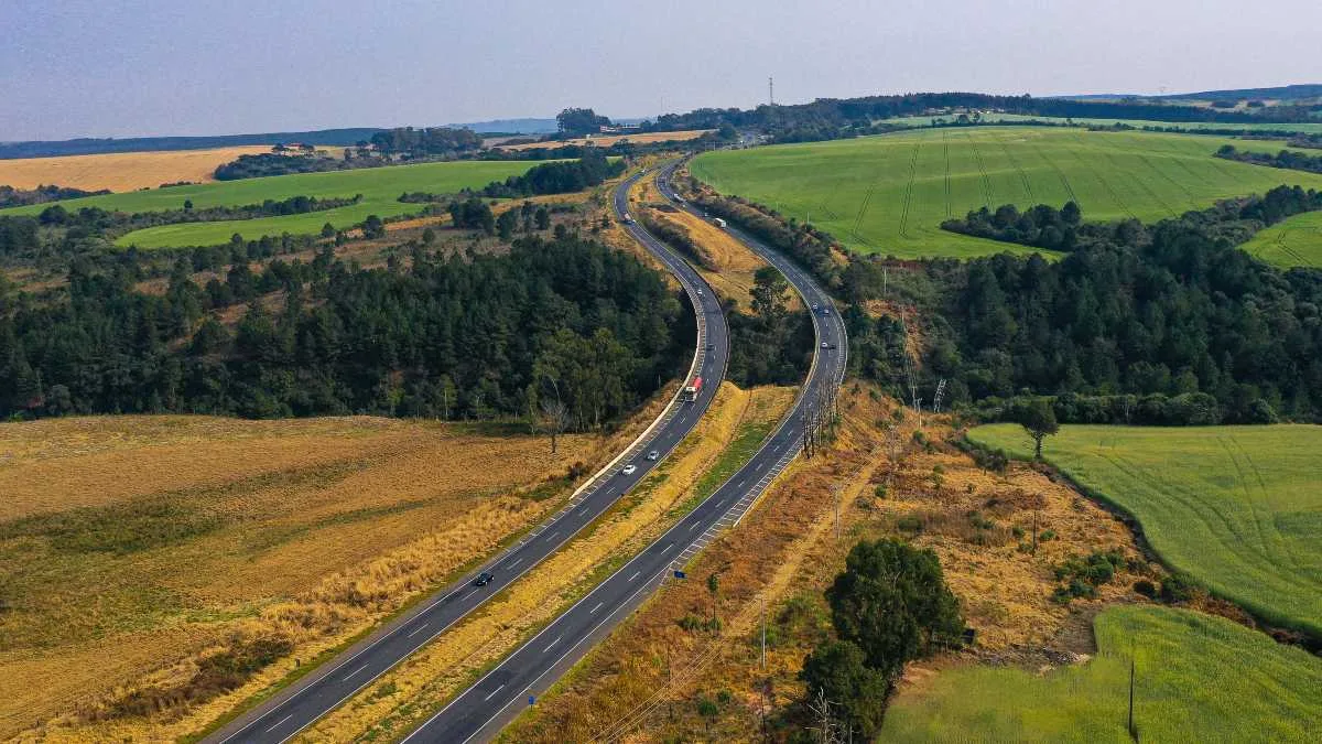 rodovias do paraná leilão do lote 3