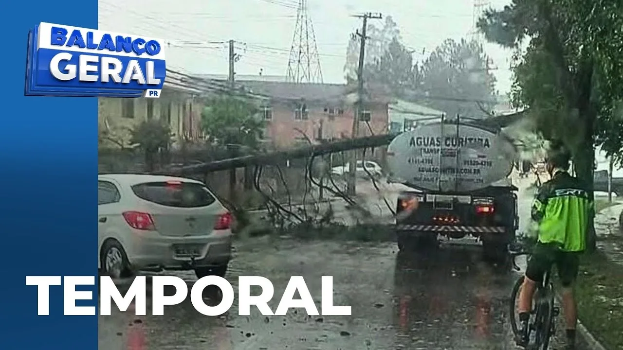 Temporal em Curitiba: árvore cai em cima de caminhão no Campo Comprido