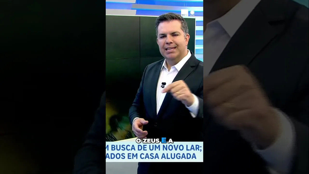 Inquilinos foram embora e abandonaram pitbulls; animais são mãe e filho e precisam de nova casa