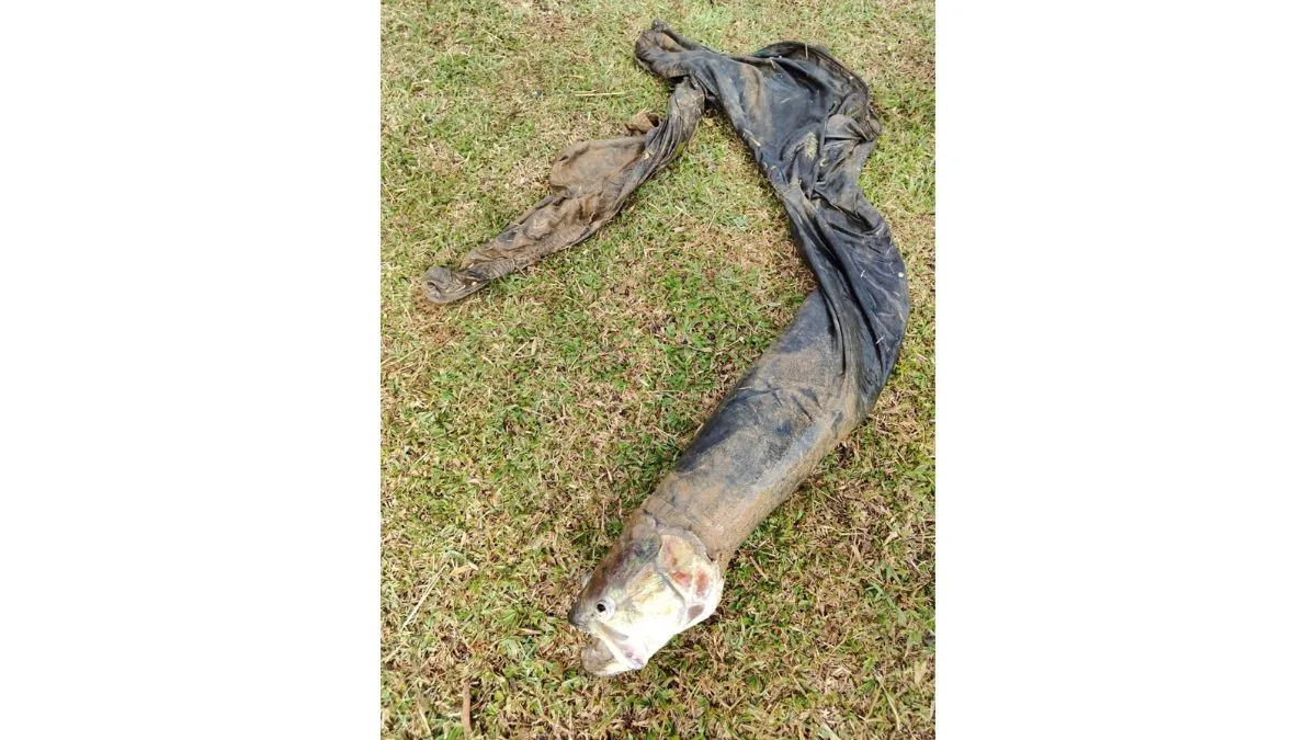 Moradores veem corpo boiando na água e Bombeiros fazem resgate no Paraná