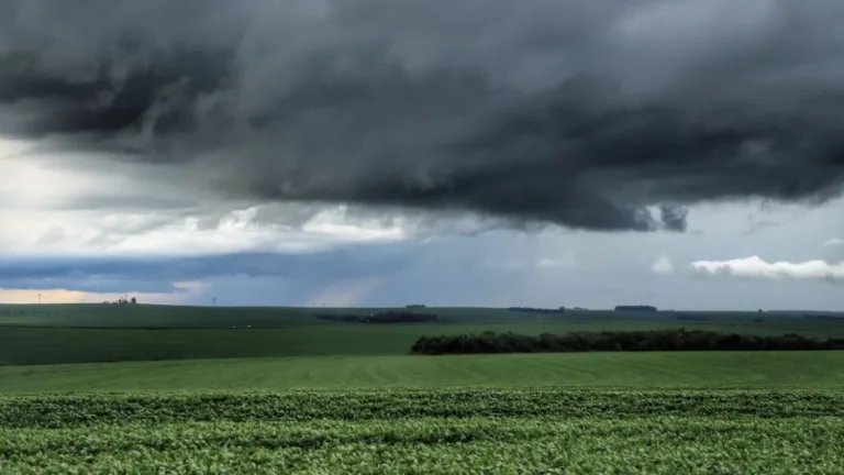Apesar das chuvas, as temperaturas serão altas em todo o Paraná
