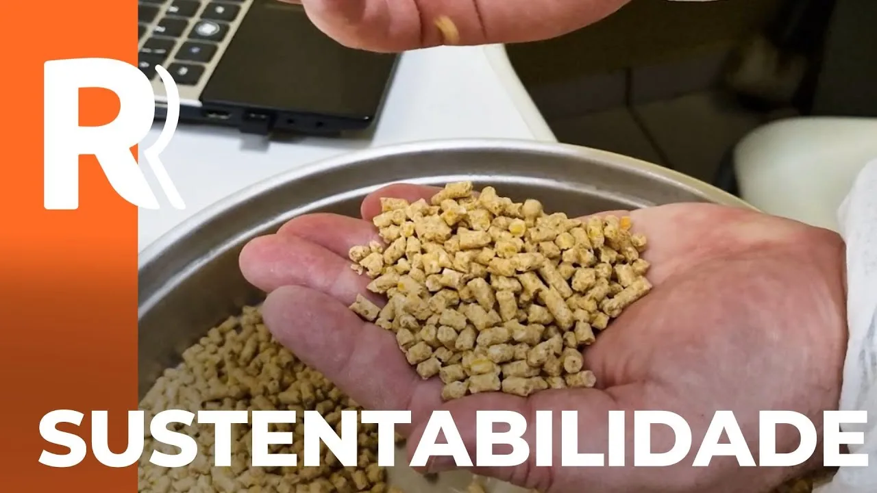 Ração Peletizada Safeeds Copacol: solução sustentável e respeitosa com o meio ambiente