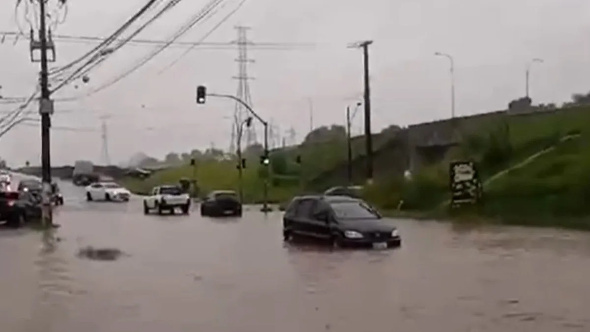 Quase 40 quedas de árvores e 15 regiões alagadas são registradas em Curitiba