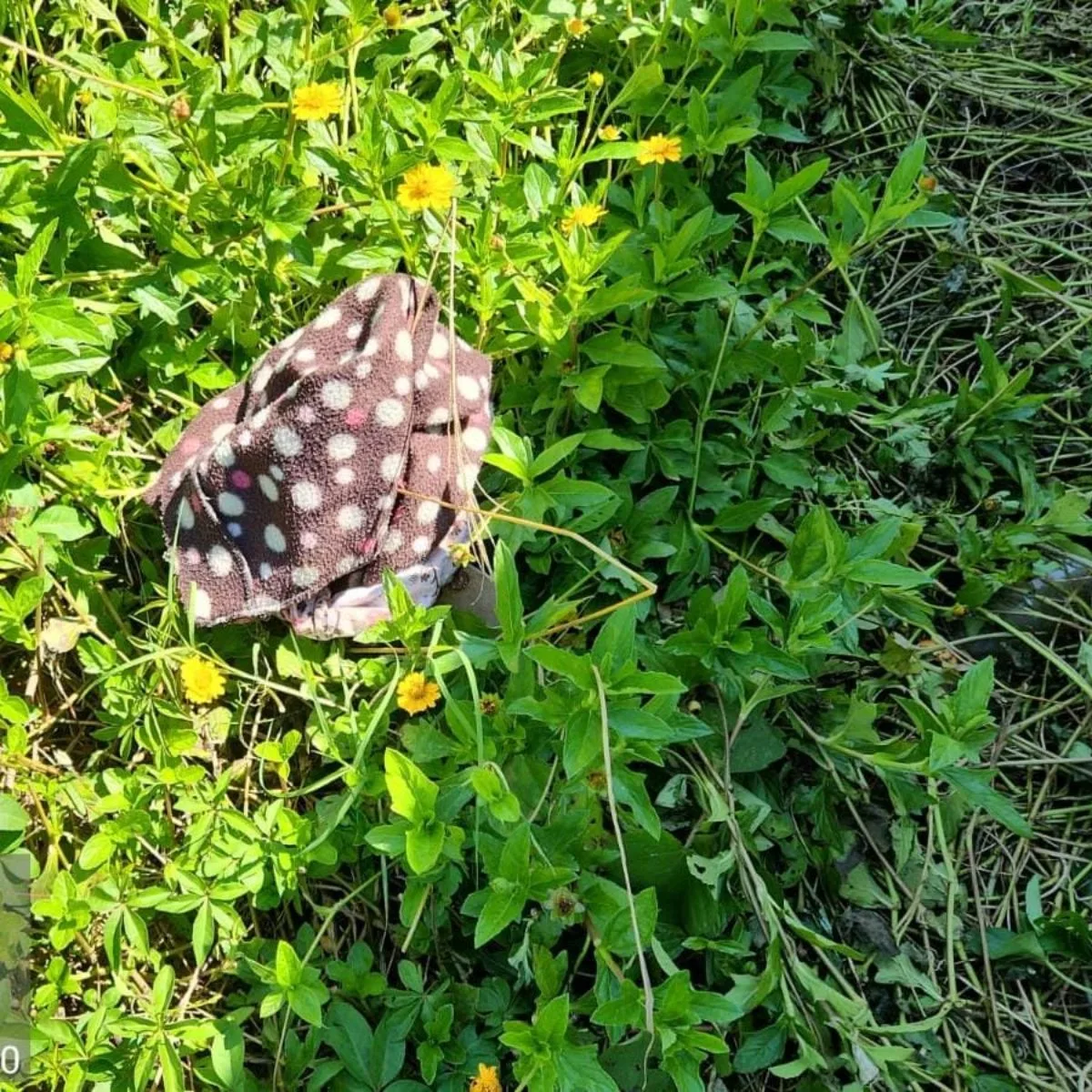 Suspeito de estuprar criança se trancou no banheiro para se lavar, diz delegado