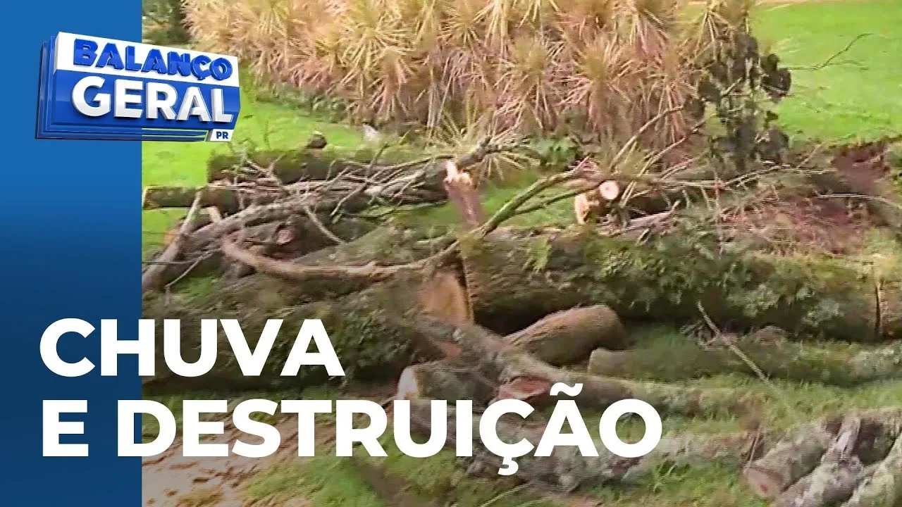 Temporal derruba 5 árvores em Maringá; escola, ginásio e UBS foram alagadas