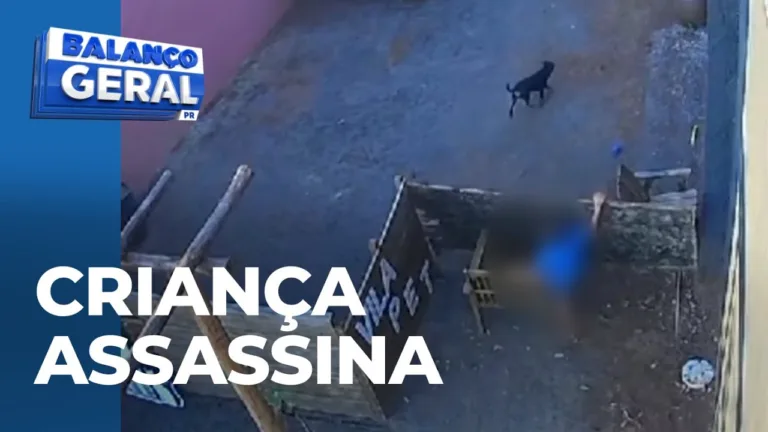 Menino de 9 anos invade hospital veterinário e mata 23 animais com requintes de crueldade