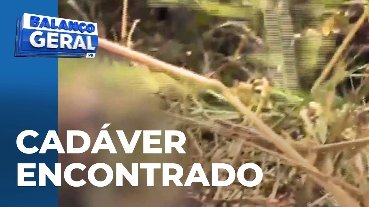 Cadáver é encontrado na zona rural de Marialva; suspeita é de homicídio