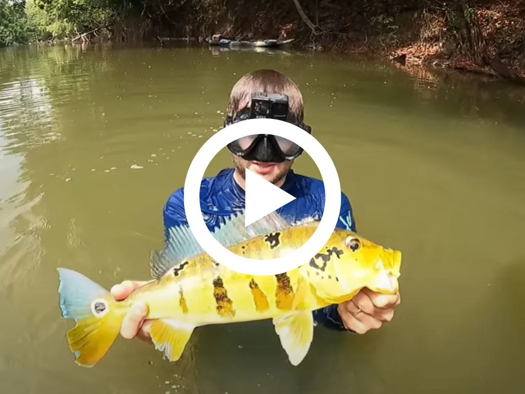 Pescador exibe tucunaré de bom tamanho