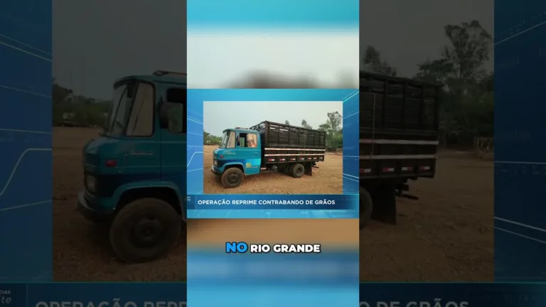 Operação policial tem como alvo organização, especializada em contrabando de grãos