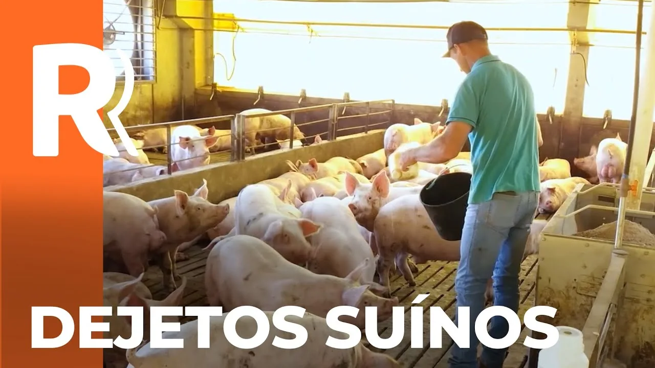 importância do tratamento de dejetos e efluentes e os benefícios para o meio ambiente e para o bolso