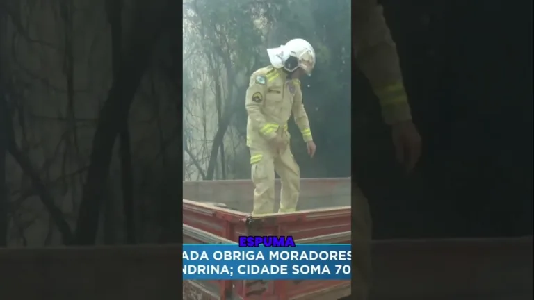 Londrina em chamas: queimada obriga moradores a evacuar prédio; 70 casos em um mês