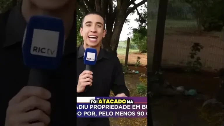 Homem é atacado por 90 cachorros, após invadir propriedade em busca da ex, em Toledo