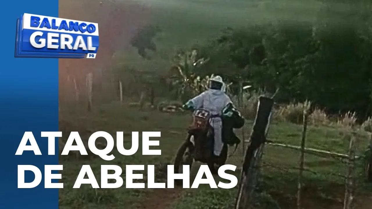 Grupo que fazia trilha sai correndo e larga motos pelo caminho em zona rural