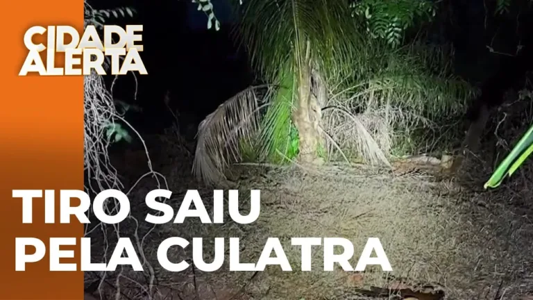 Acidente em Altonia: Adolescente ferido durante caçada com espingarda