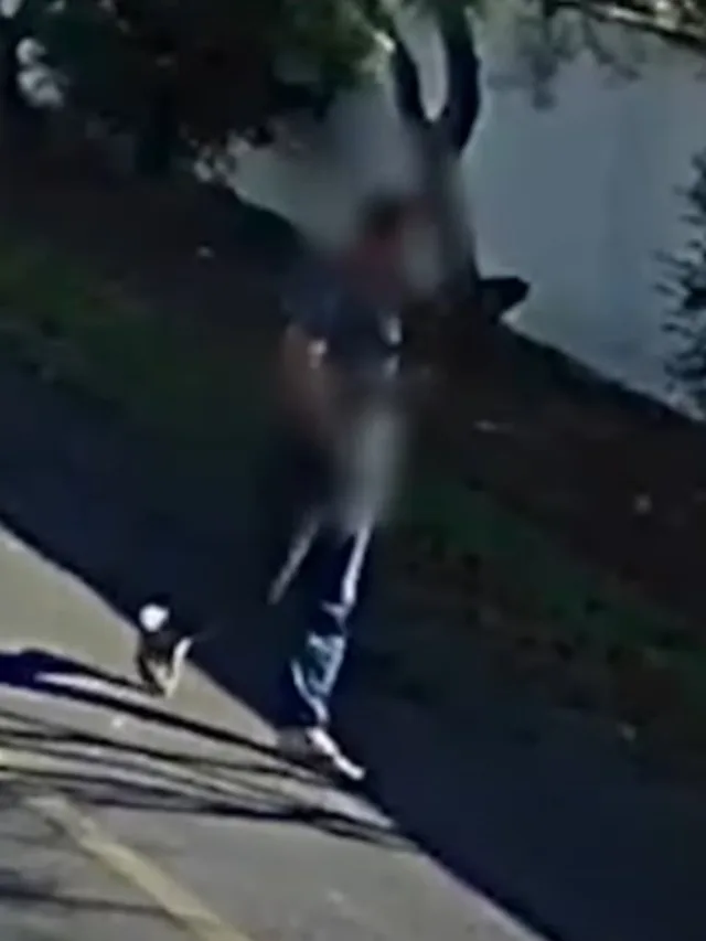 O Balanço Geral desta sexta-feira (18) mostra que as mulheres do bairro Borda do Campo, em São José dos Pinhais, na Região Metropolitana de Curitiba, estão com medo de sair de casa. Isso porque um tarado anda à solta, perturbando o sossego da comunidade.