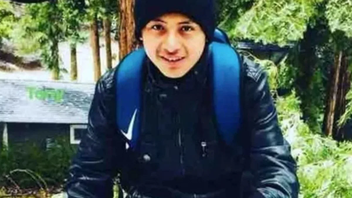 O jovem ficou pendurado na árvore por uma hora