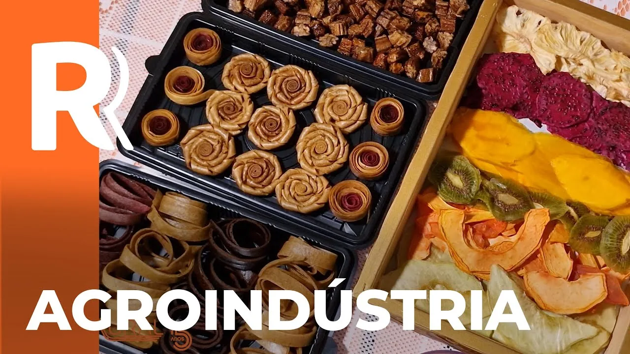 Conheça a Elisângela, vencedora na categoria Agroindústria no prêmio Orgulho da Terra