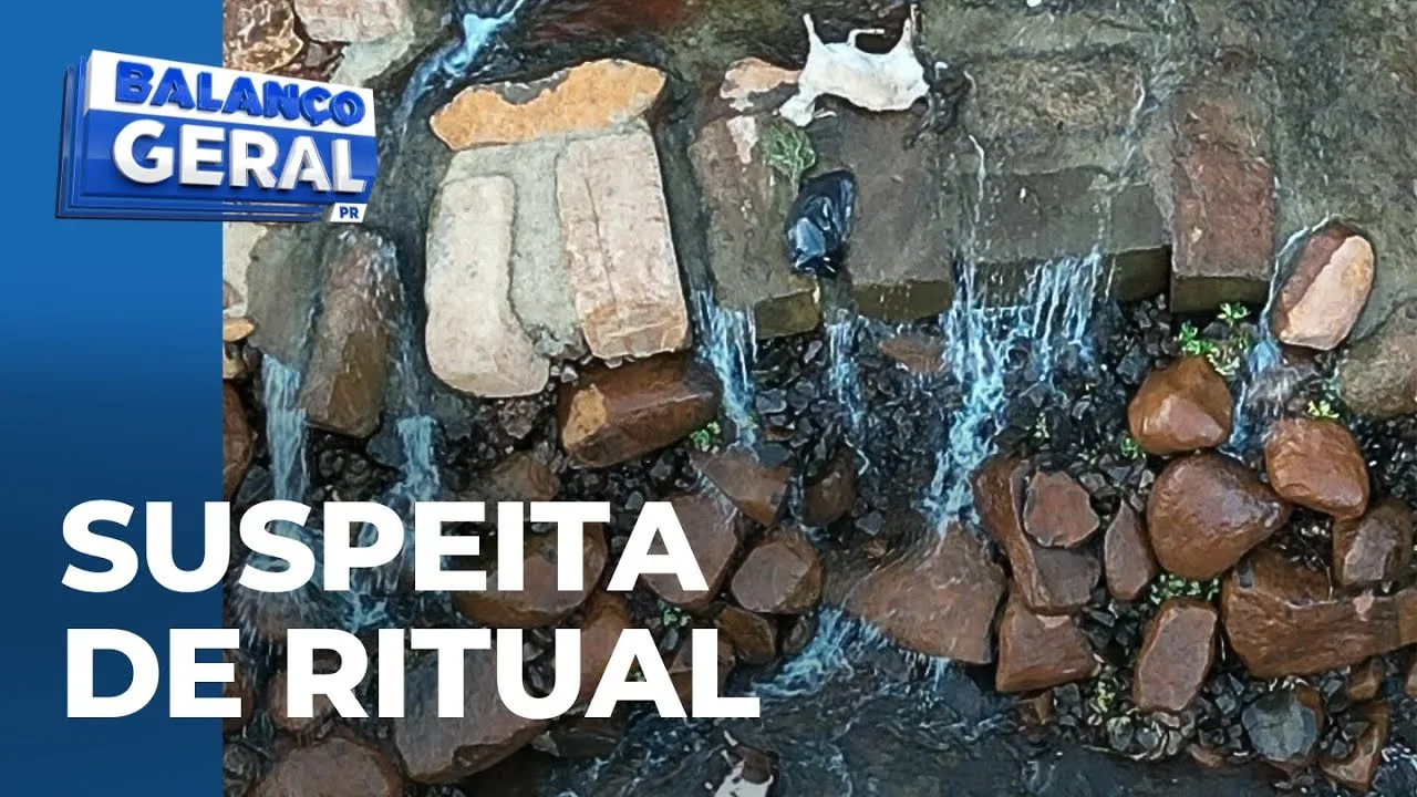 Polícia investiga morte de dezenas de bodes, cabras e galinhas em fundo de condomínio