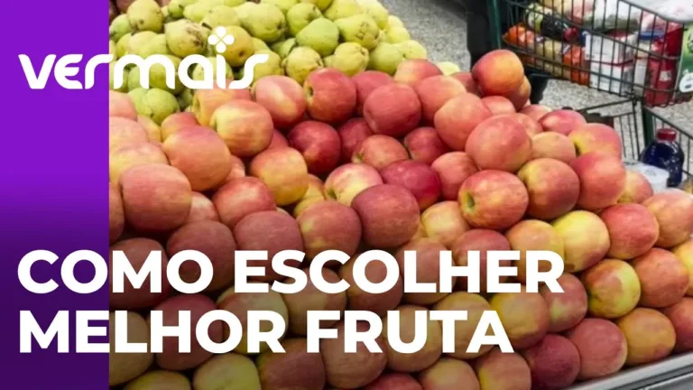 Quais frutas da estação e saiba como escolher os melhores produtos