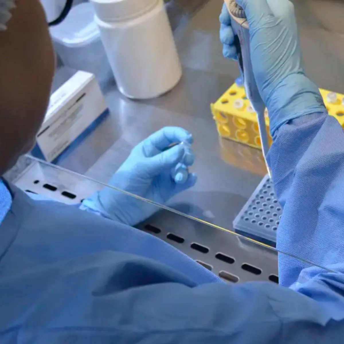 Nova variante do vírus Sars-CoV-2 é identificada em três estados do Brasil