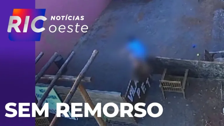 Menino de 9 anos mata animais em hospital veterinário; este, não demonstrou remorso