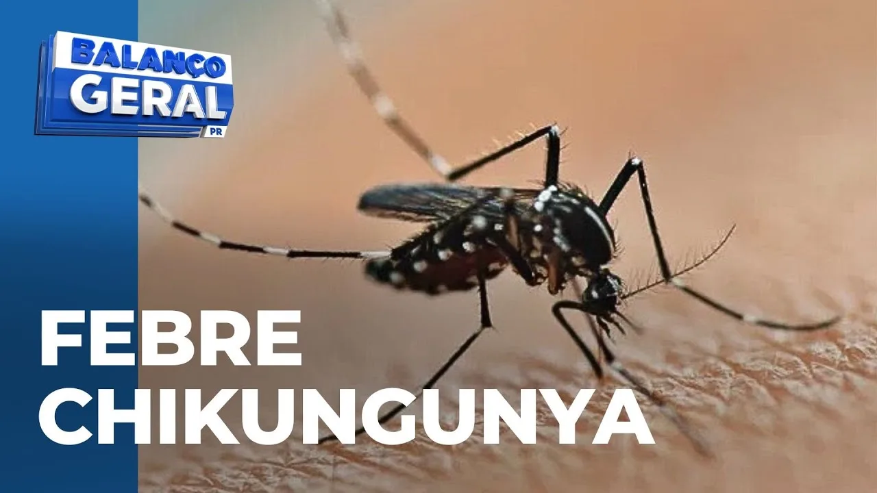 Febre Chikungunya: Surto em Cascavel já conta com 8 casos confirmados