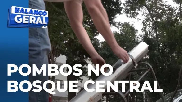Teste com canhão de gás falha e pombos continuam no Bosque Central