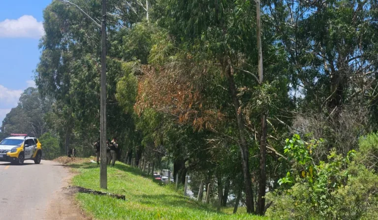 Após dois dias de buscas, Jhonny Martins, de 30 anos, foi encontrado morto às margens da BR-116, em Curitiba.