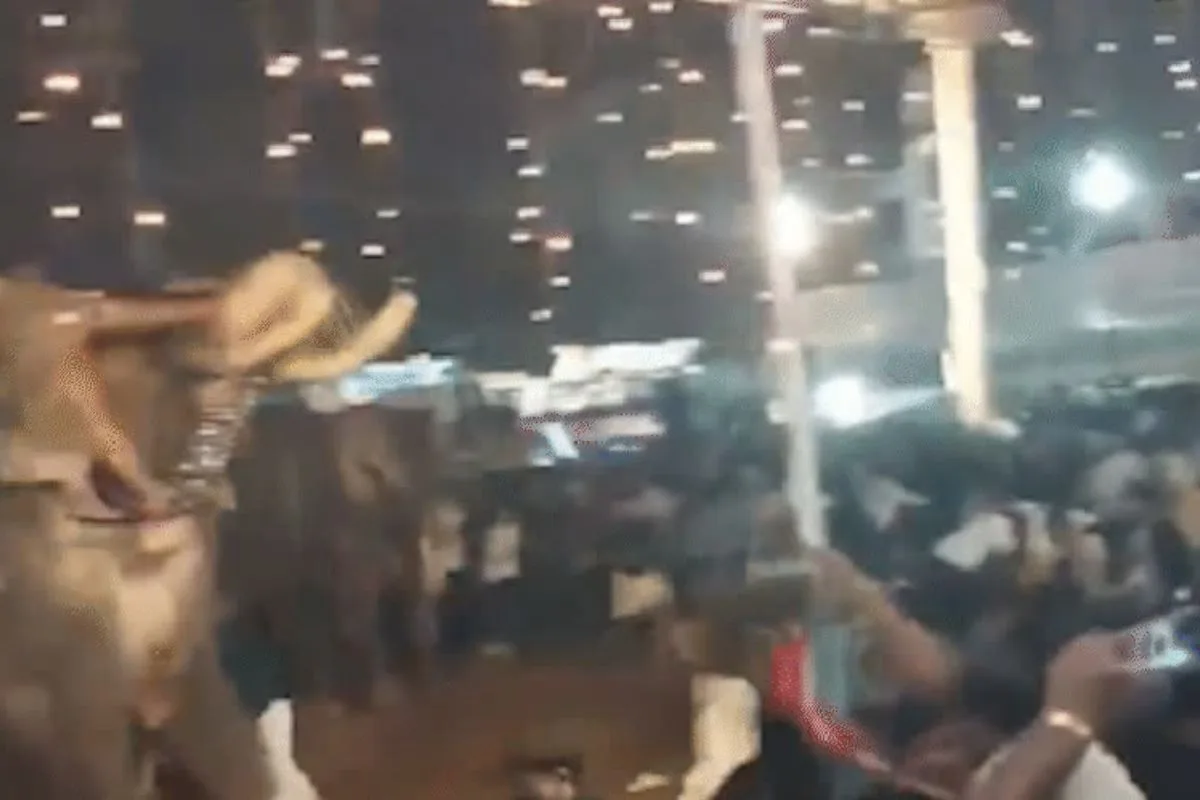 Elefante saiu em disparada em direção à multidão na Índia