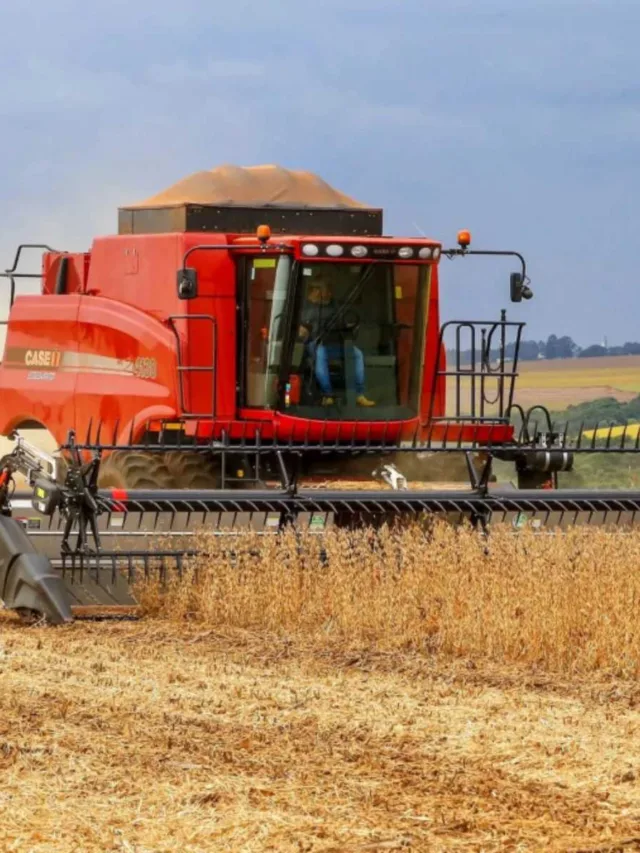 Cooperativas agro do PR movimentaram mais de R$ 200 bilhões, diz levantamento