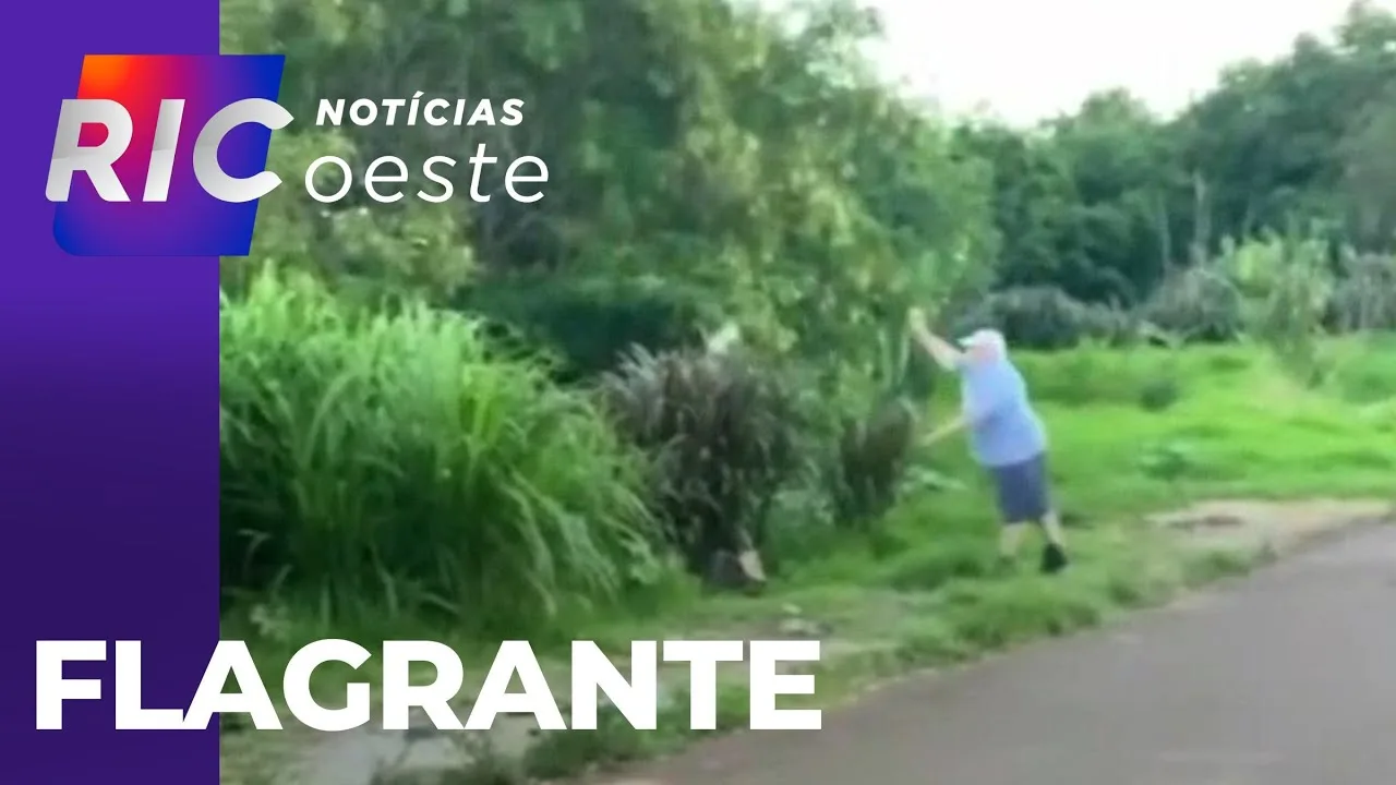 Polícia Civil fala sobre prisão de idoso que arremessou um gato em rio