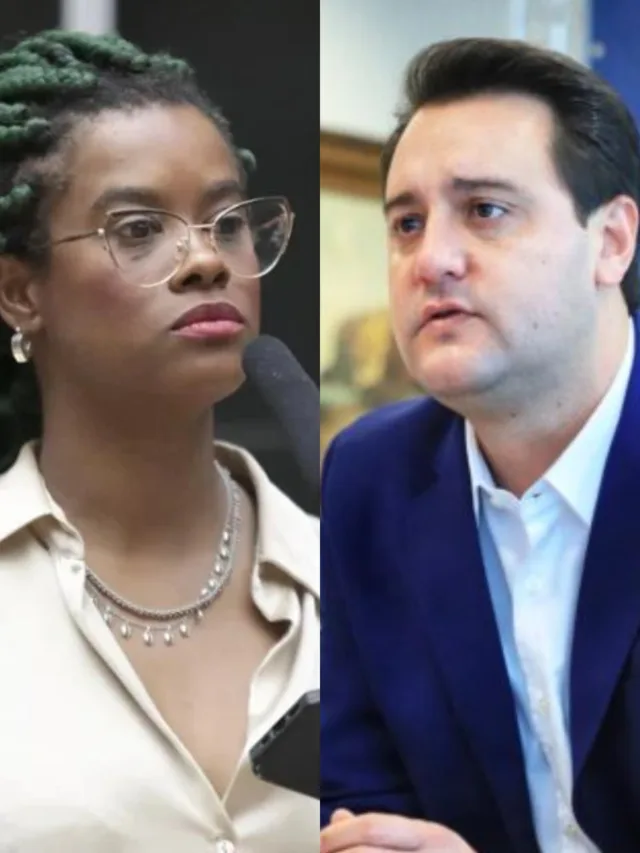 A deputada afirmou que a Secretaria de Educação está restringindo a participação da APP Sindicato nas consultas sobre o programa Parceiro da Escola (Foto: Zeca Ribeiro / Câmara dos Deputados / José Fernando Ogura/AEN)