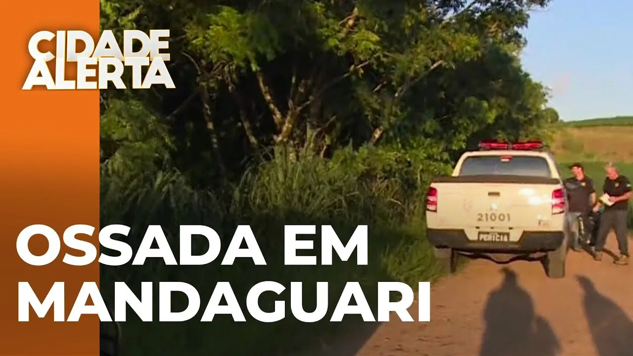 Mistério em Mandaguari: ossada encontrada na zona rural