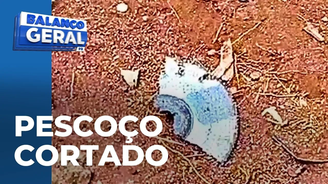 Acidente de trabalho: trabalhador sofre corte no pescoço após lâmina de máquina quebrar