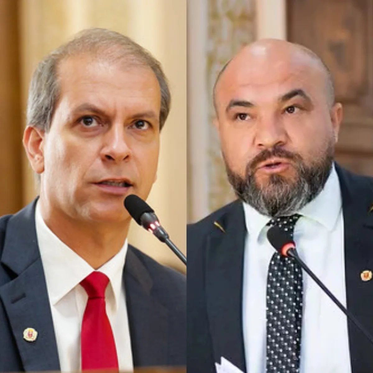 Professor Euler e João das 5 Irmãos são os favoritos do MDB para ocupar pasta do Esporte e Lazer (Fotos: Câmara de Vereadores de Curitiba)