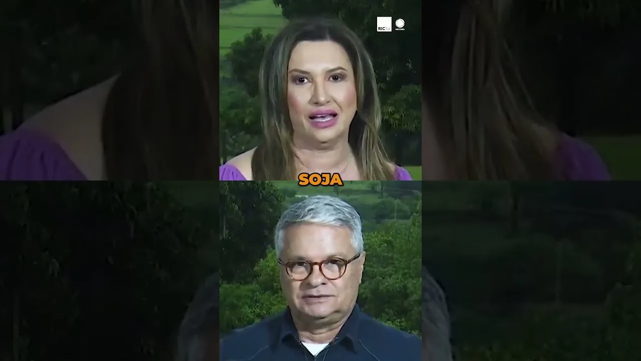 Atualização do Cultivo de Soja #cultivo #soja