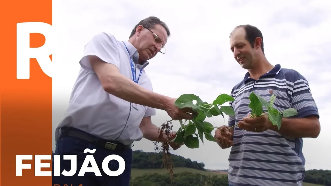 Conheça Romildo Vasata, vencedor da categoria Feijão no prêmio Orgulho da Terra