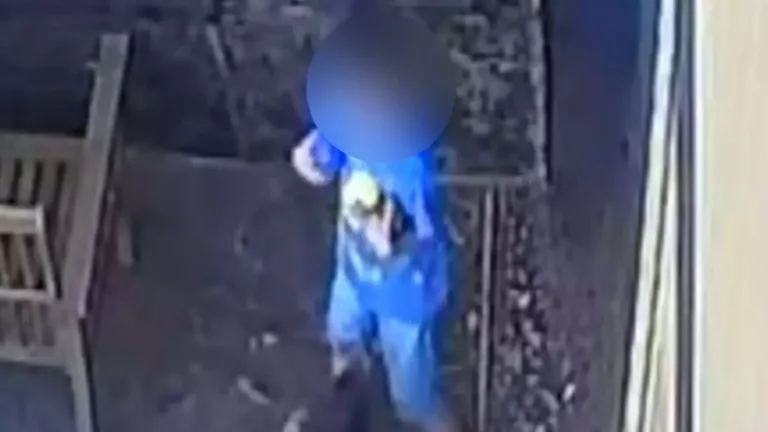 Criança teria ido na inauguração da fazendinha no dia anterior (Foto: Reprodução/ RICtv) 