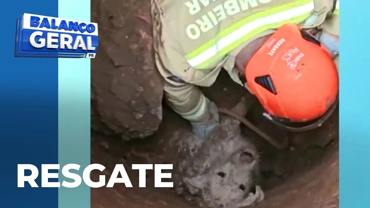 Cachorro cai em poço, fica soterrado e é resgatado por bombeiros