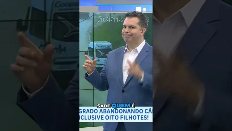 Homem abandona 10 cães em São José dos Pinhais, entre eles, 8 são filhotes