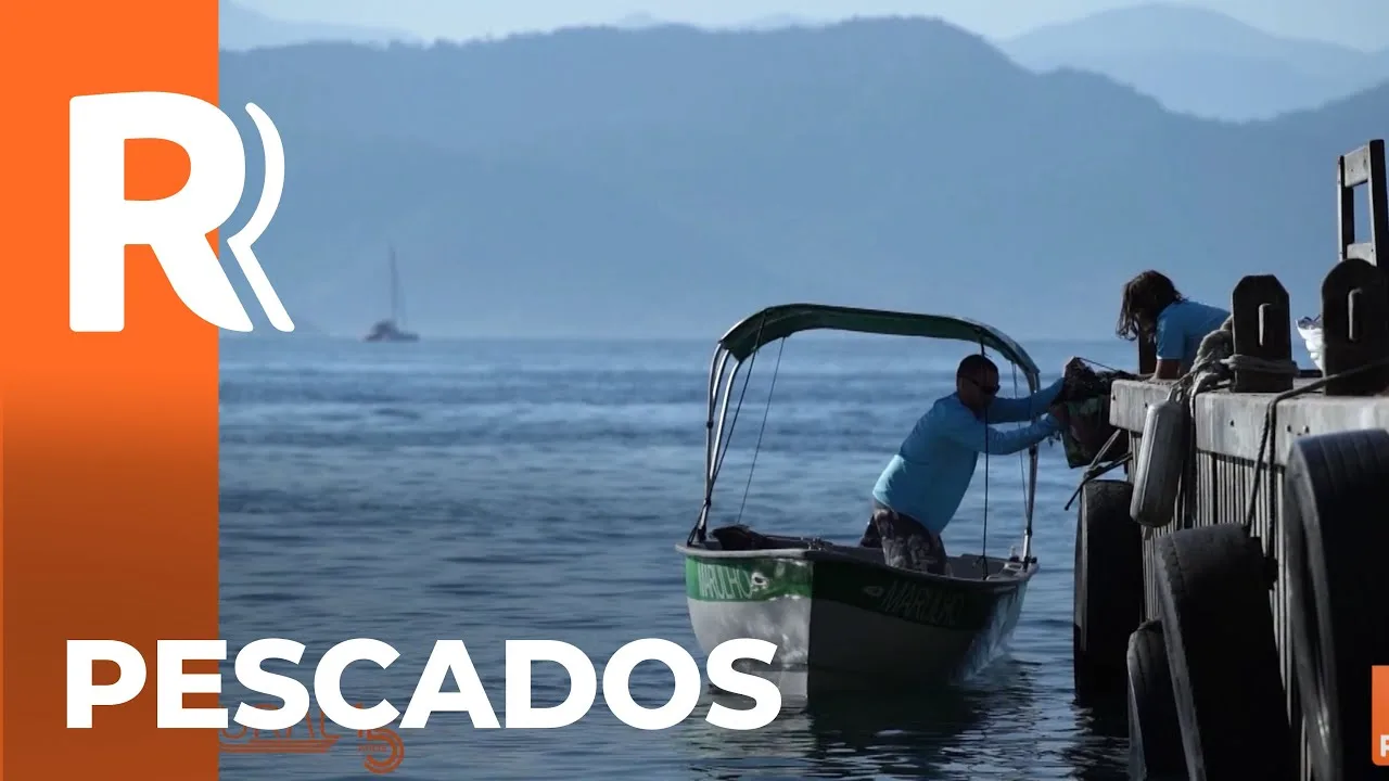 Produtos de pescados no litoral